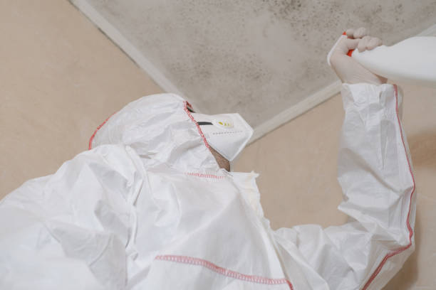 Best Emergency Mold Removal  in Pinewood Estates, TX